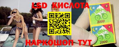 гидра Краснознаменск