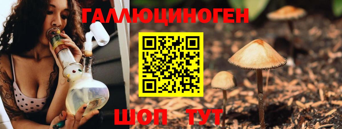 Псилоцибиновые грибы мицелий  Вход с VPN  Электрогорск 